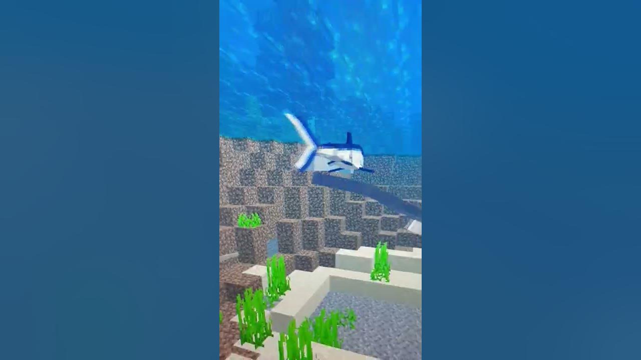 Minecraft SHARKS 🦈 - YouTube