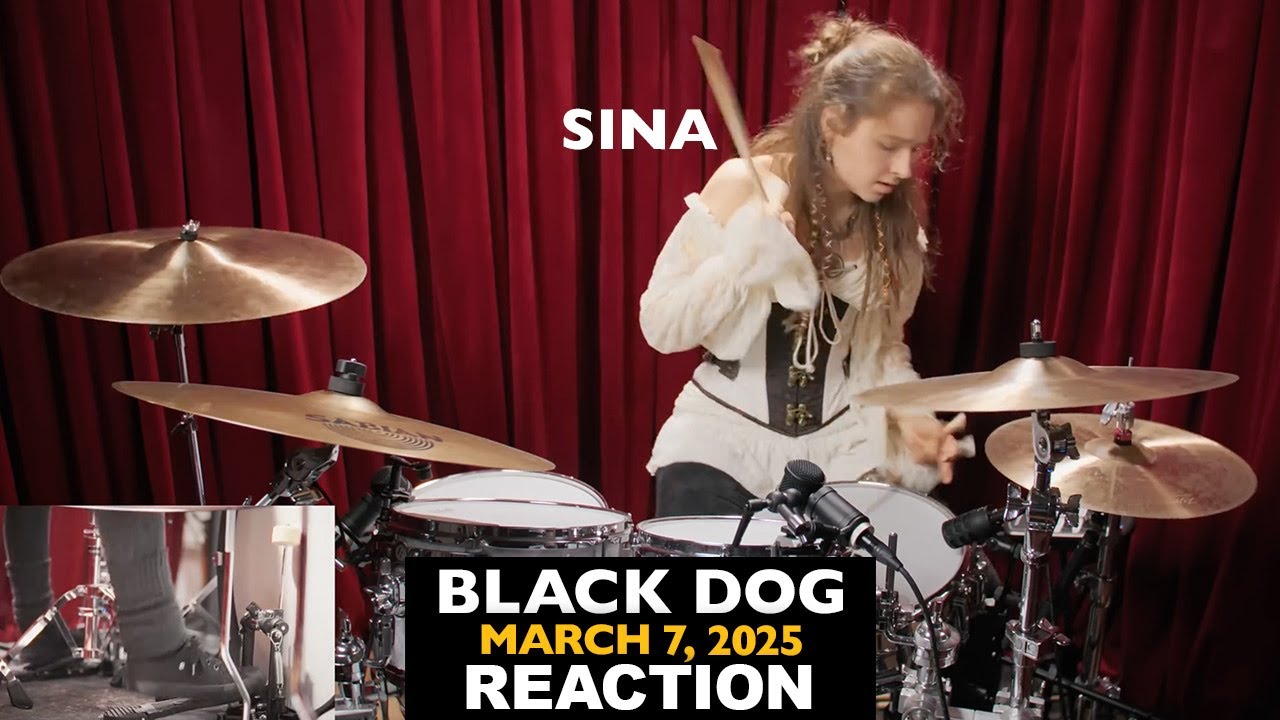 Musicians REACT to Sina Drums: Black Dog (2025)