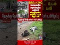 Coimbatore | Car Accident | Accident