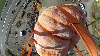 Giant Pumpkin drop Hee Haw Farms