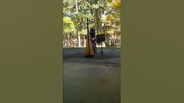 Thumbnail of Serenade to spring - Secret garden. 10월의 어느 멋진 날에 (Harp cover)