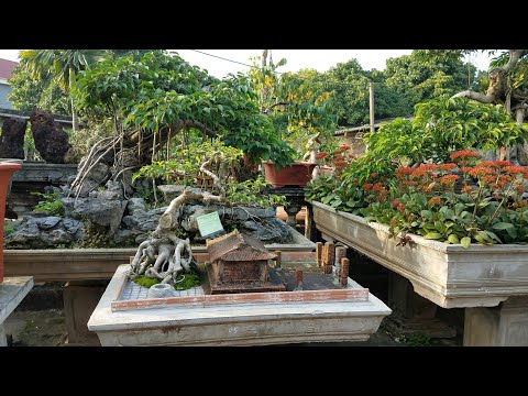 Video SH.792.Tiểu cảnh Cây Đa giếng nước sân đình quê tôi - youtube