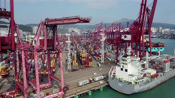 Hong Kong Container Port Tour by James