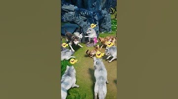 😅DNA test not needed… Jerry’s done for 💀 #wolfgame #wolf #animalshorts #wolfstory