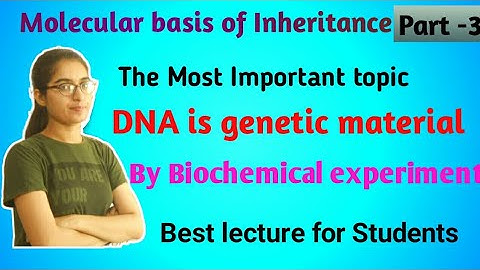 DNA is genetic material  by biochemical experiment /CBSE/Class-12/molecular basis of inheritance.