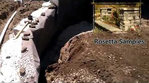 Greenline Inc.: Building a Rosetta Wall