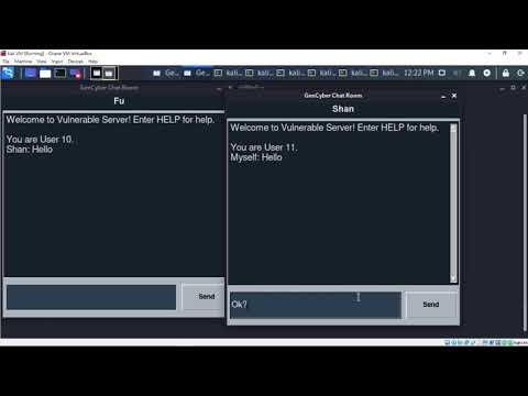 DDoS against vulnserver chat server