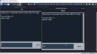 DDoS against vulnserver chat server screenshot 3