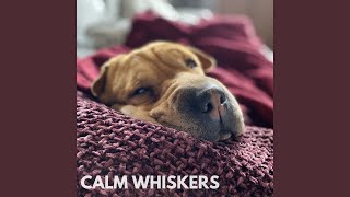 Calm Whiskers