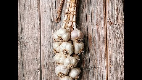 Garlic Harvesting with under-cutter from Garlic Eez.