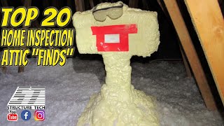 Top 20 Home Inspection Attic Finds