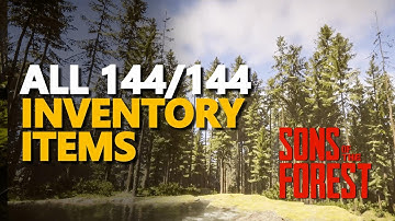 Sons Of The Forest All Inventory Items
