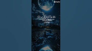 راحه نفسيه من القرآن الكريم 🤍🤍 #اكسبلور #راحة_نفسية #لايك #القرآن_الكريم