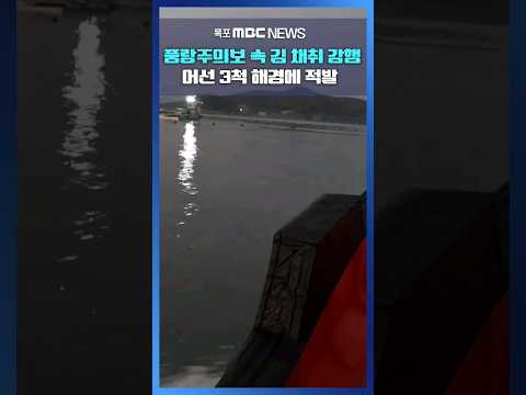 해경, <strong>풍랑주의보</strong> 속 김 채취 강행 3척 적발 #shorts