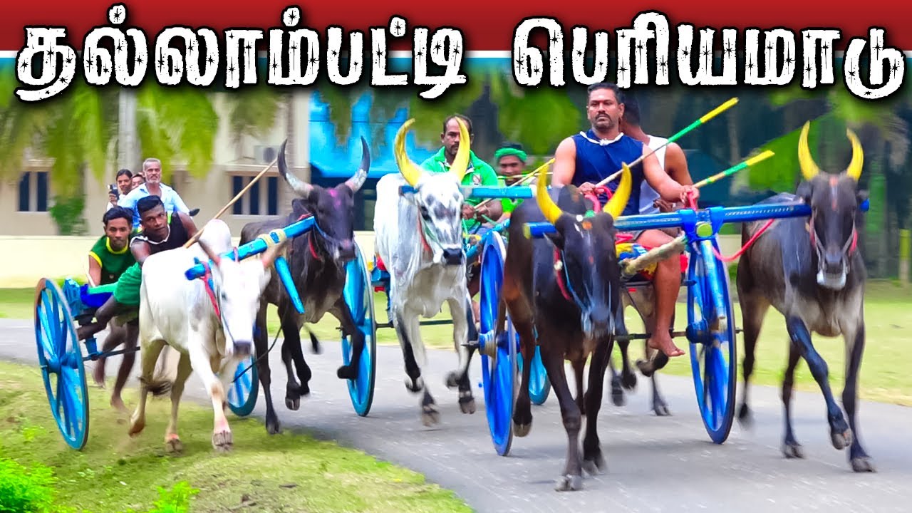 1புதுக்கோட்டை[மா]-தல்லாம்பட்டி-பந்தயம் 20.01.2024