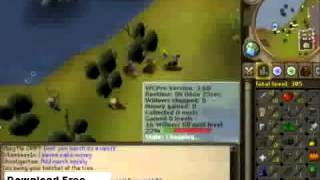 Rs2007 Fully Working Bot - Runescape 2007 Leaked Bot [March 17 2013]