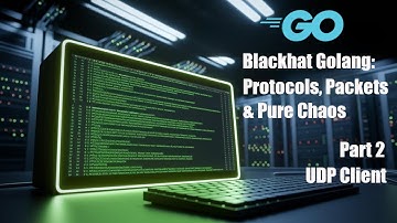 Blackhat Golang Protocols, Packets & Pure Chaos Part2  - UDP Client