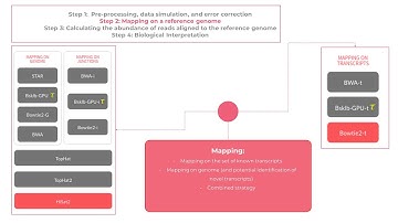What is the fastest and most simple pipeline for RNA-seq? Start - Bowtie2-t - RSEM