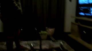 Cantando Candy Perreo Y Propuesta Indesente Con Prima