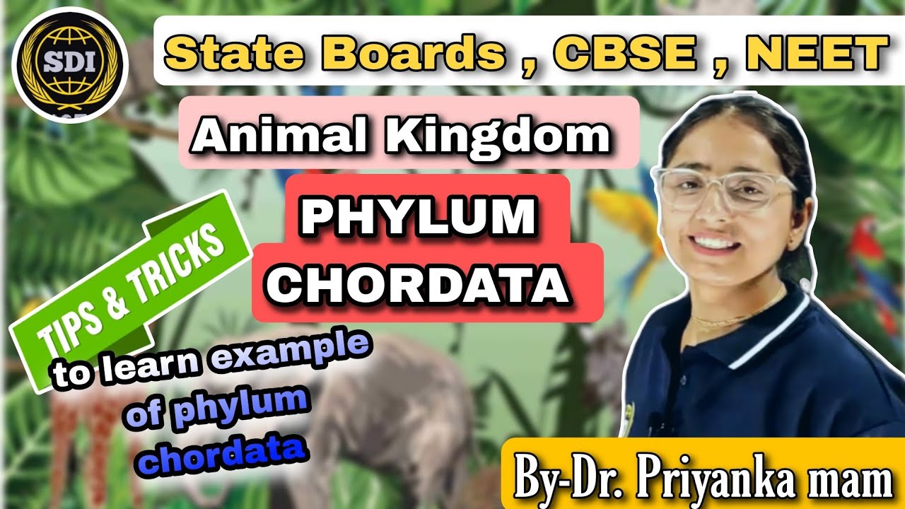 ANIMAL KINGDOM | TRICKS to learn example of phylum Chordata | By Dr ...