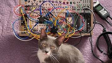 Patch Notes 014: Purple Quilt | Generative Music w/ Mostly Mutable Instruments Modular Synthesizer