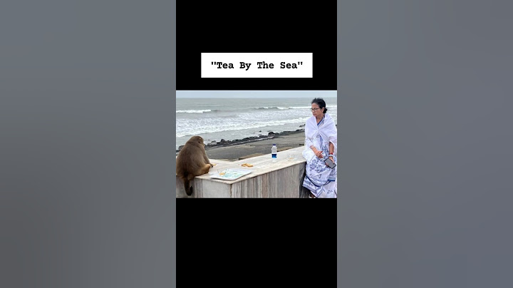 #mamatabanerjee  Shares "Tea By The Sea" With A Monkey- #viralvideo #viral