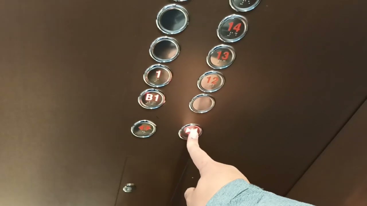 홍천 비발디파크 소노벨 B동 엘리베이터 8