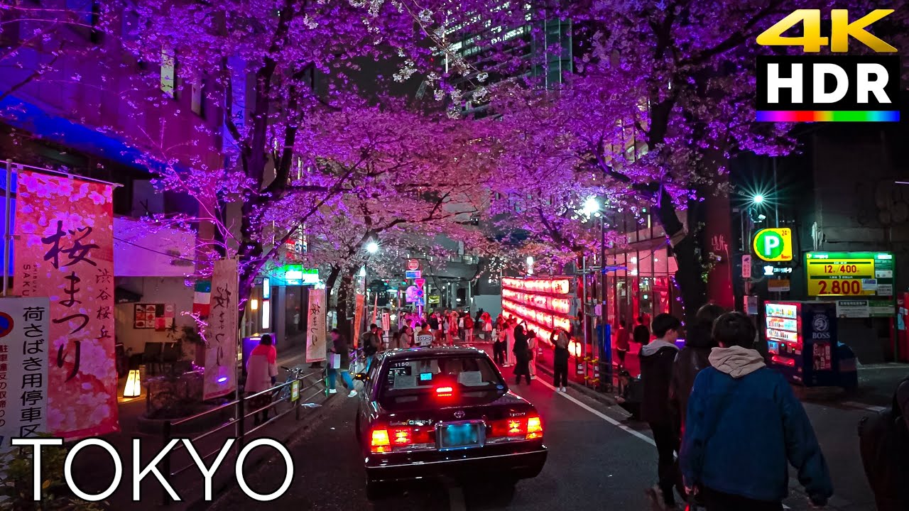 Tokyo Shibuya - Cherry Blossom illumination | Japan walk in 4K HDR