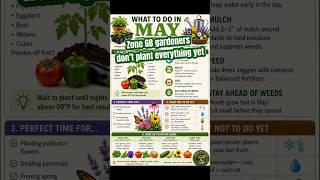 What to Plant in May in Zone 6B Garden