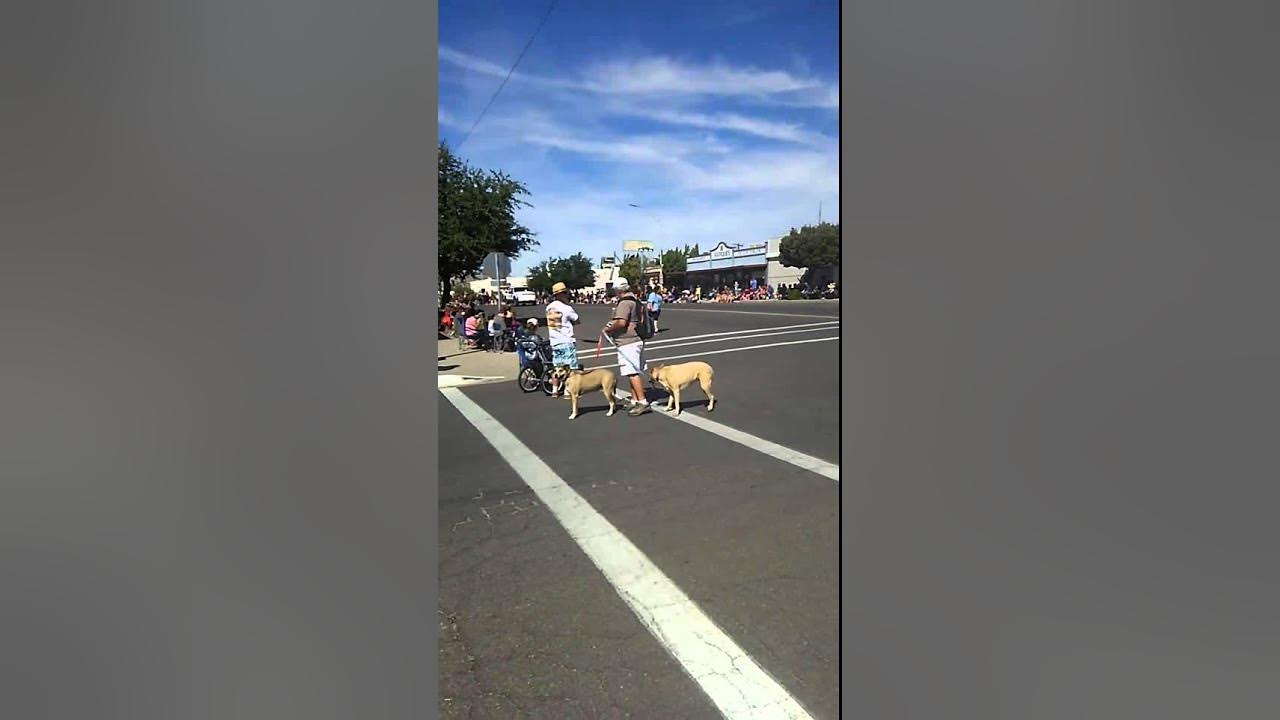 Exciting Andy Devine Days Parade in Kingman Az YouTube