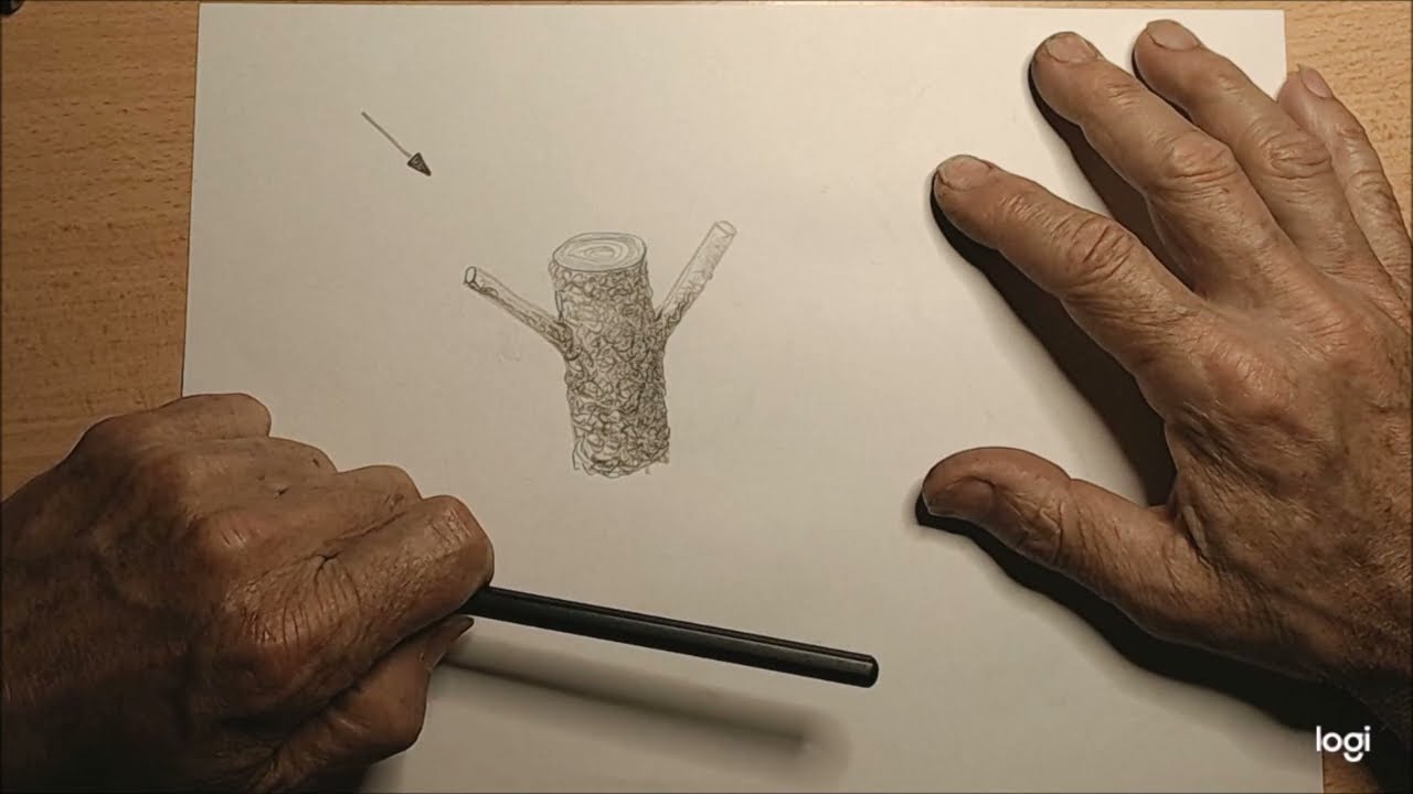 Disegnare gli alberi:  parte 2