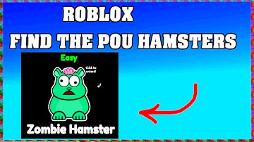 How To Find ZOMBIE HAMSTER in FIND THE POU HAMSTERS ROBLOX🐹[Update] [walkthrough]