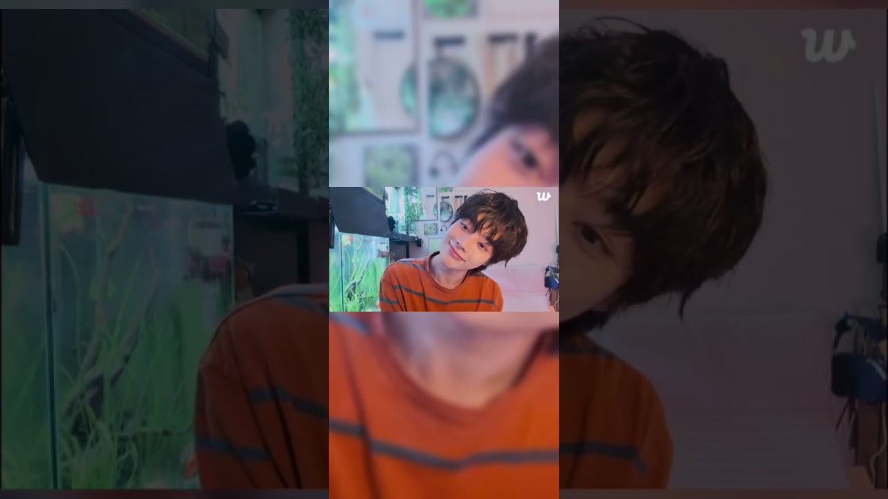 Nghe HANBIN nói tiếng anh mà phải nói là tui bị cuốn luôn vào câu chuyện của HANBIN luôn#hanbin 