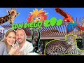 Things to do at the SAN DIEGO ZOO