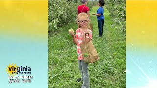 Everywhere You Are: apple picking at Chiles Apple Orchard