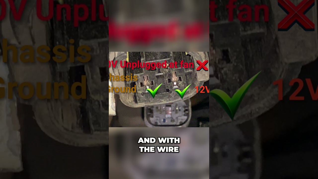 Electrical NIGHTMARE in a BMW — But We Made It Work Anyway