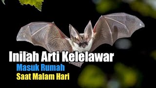 Inilah Arti Kelelawar Masuk Rumah Saat Malam Hari