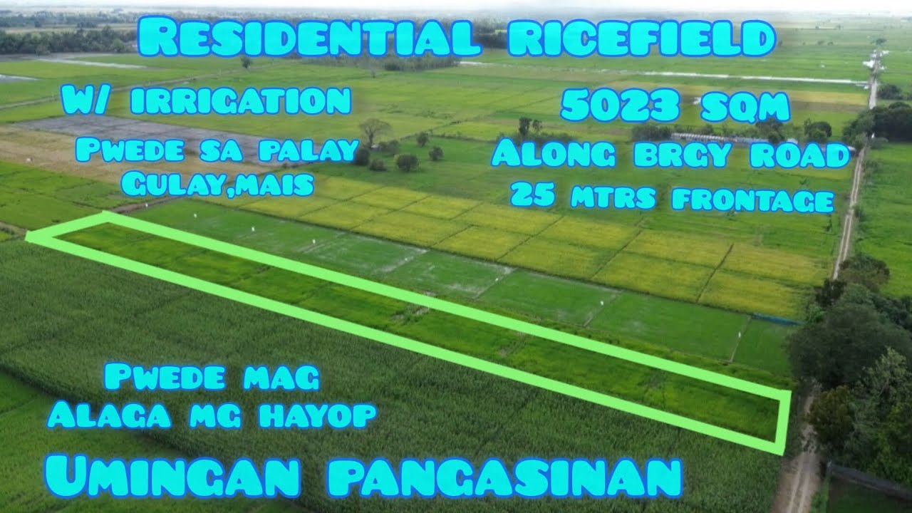 Участок №754. Отлично подходит для переоборудования в фермерский дом, можно разводить животных, в...