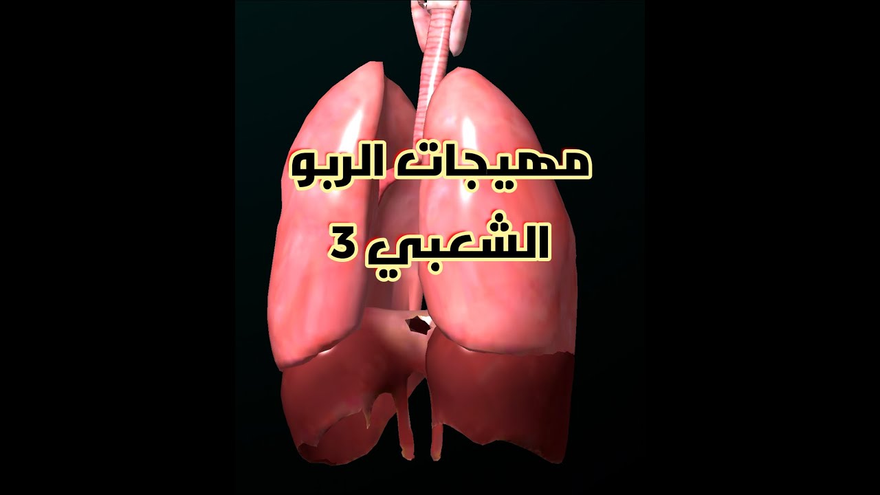 مهيجات الربو الشعبى youtube movie posters movies poster مهيجات الربو الشعبى youtube movie posters movies poster