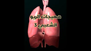 مثيرات  الربو الشعبى