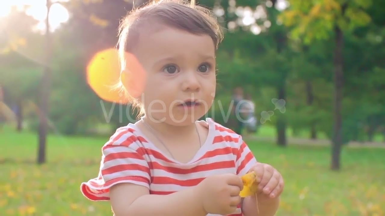 Earth in a Bottle (science) Stock Footage Mega Pack +40 items YouTube