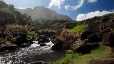 ماتيسر من سورة طة للقارئ الأخ وليد المصباحي حفظه الله ورعاه