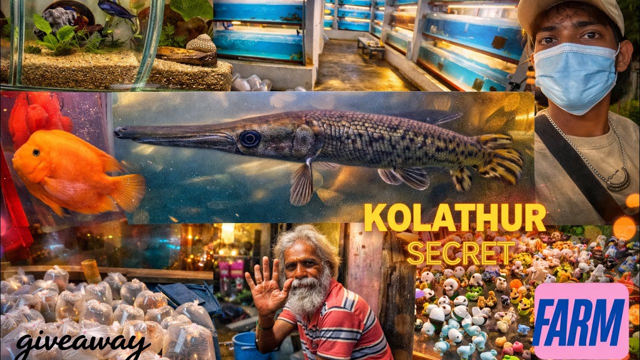 இது Kolathur ஆ illa Thailand ஆ. 😮.                Secret farm பாப்போமா 😲. #kolathur #vlog #tamil 