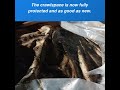 Crawlspace Sewage Cleanup: How We Restored an Atlanta Home