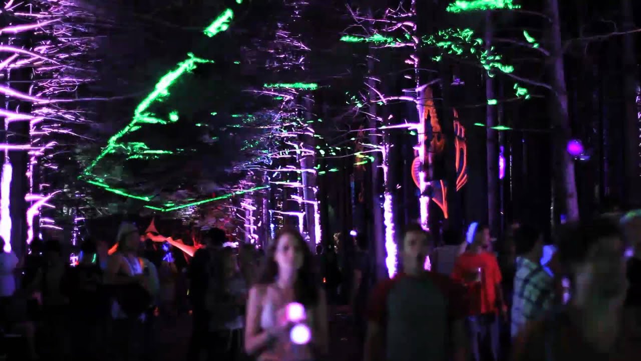 Cirque Du Electric Forest