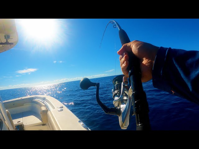 Testing the Saragosa Reel on Big Fish - YouTube