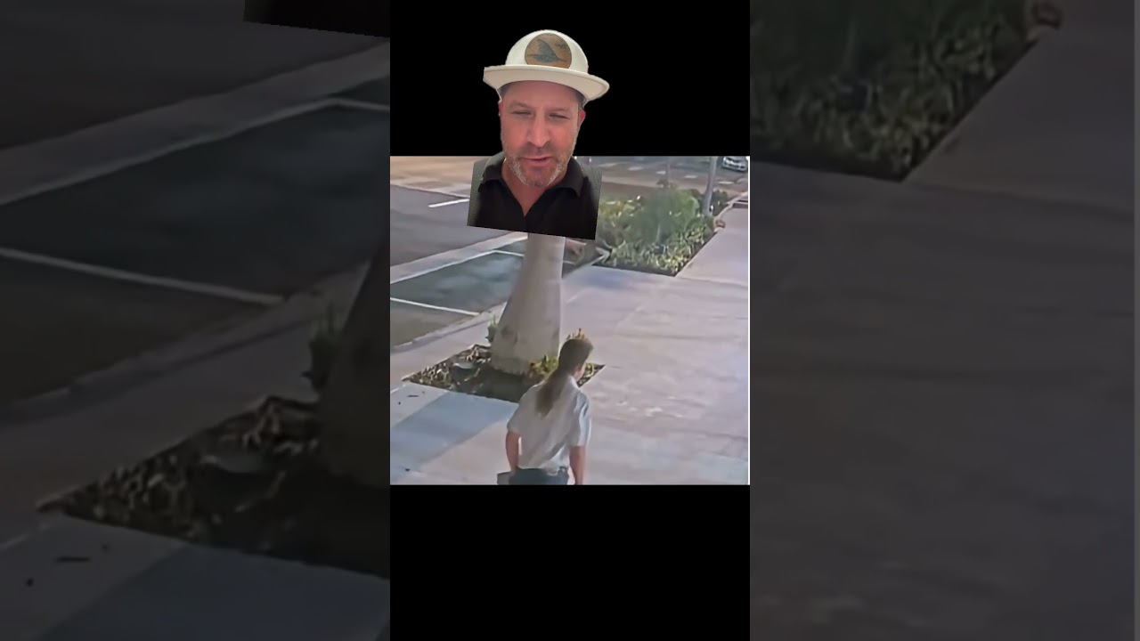 Wanted in St. Pete: $96K in Damage After a Lawn Light Fastball Spree