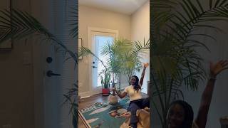 Majesty palm care made easy 🌿 here’s what actually worked for me #plantparenting Majesty palm care made easy 🌿 here’s what actually worked for me #plantparenting