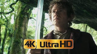 Жало | Хоббит: Нежданное Путешествие 4K