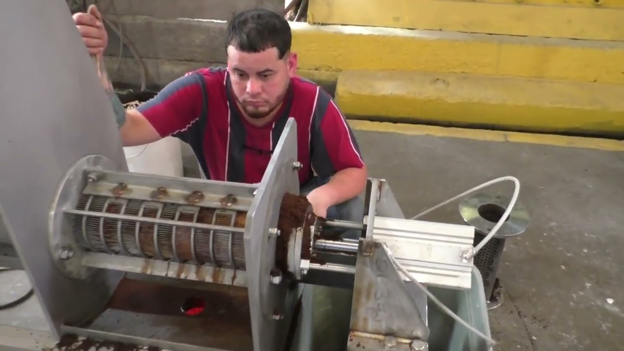 SPENT COFFEE GROUNDS SCG